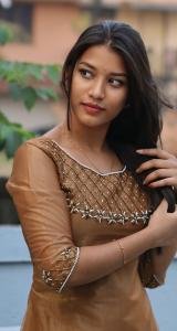 Elegant Handworked Shimmer Top