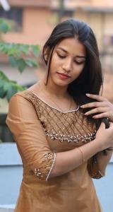 Elegant Handworked Shimmer Top