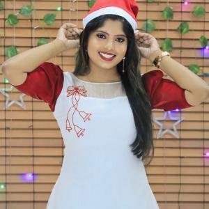 Christmas special organza