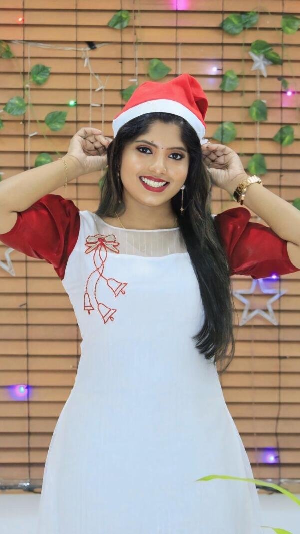 Christmas special organza