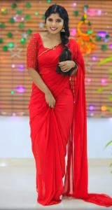 Heavy handworked saree with matching blouse material